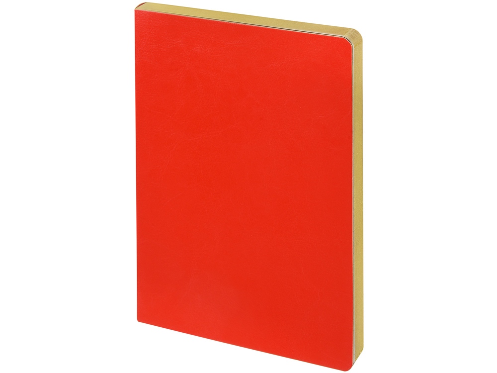 Ежедневник недатированный А5 